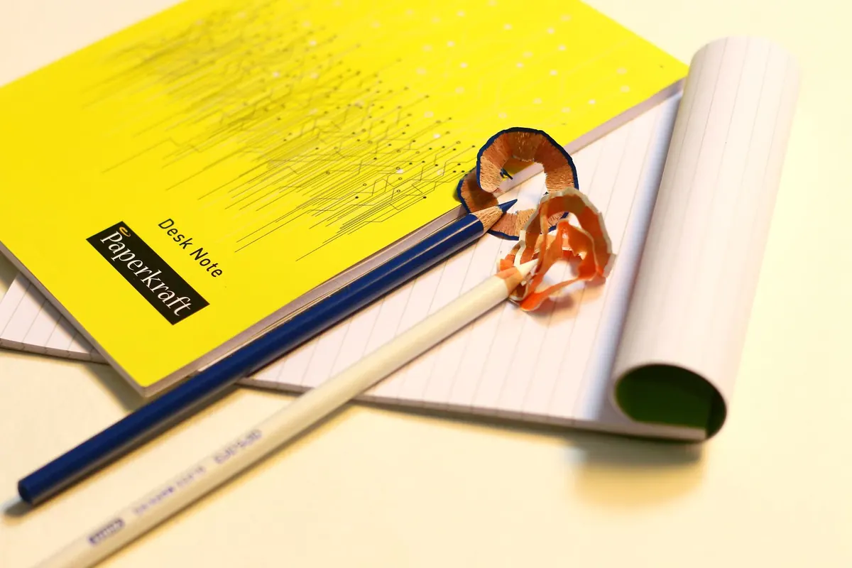 Field Notes: How to Keep a Birdwatching Journal That's Actually Useful