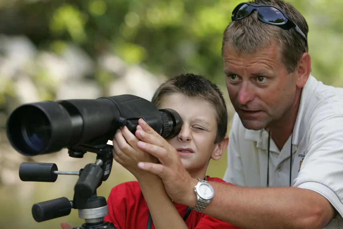 How to Report a Rare Bird Sighting in the UK: Ethics, Records and Local Groups